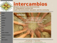 intercambios-usmex.org