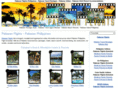 palawanflights.com