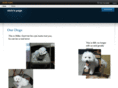 stulo.com