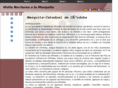 visitanocturnamezquita.com