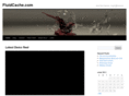 fluidcache.com
