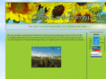 greenearthenergyusa.com