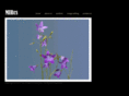 mircs.co.uk