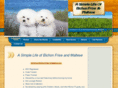 asimplelifeofbichonfriseandmaltese.com