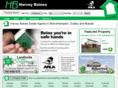 harveybaines.com