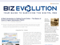 thebizevolution.com