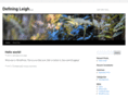 definingleigh.com
