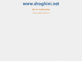 droghini.net
