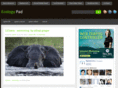 ecologypad.com