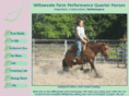 willowvalequarterhorses.com