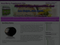 acaiberrysupplementsite.com