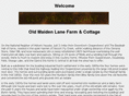 oldmaidenlane.com
