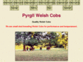 pyrgll.com