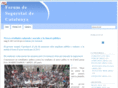 forumdeseguretat.com