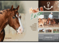 lightnlena.com