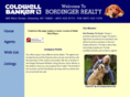 bordingerrealty.com