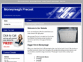 moneyreaghprecast.com