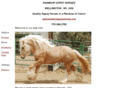 rainbowgypsyhorses.com