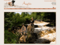 angeleo.com