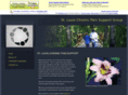 stlpainsupport.com