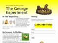 thegeorgeexperiment.com
