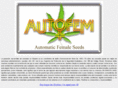 autofem.com