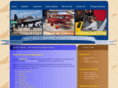 flightfestival.org