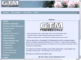 gtmprofessional.com