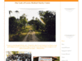 llmcc.com