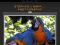 stephenjnappi.com