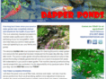 dapperpondservice.com