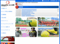 desafio-futsal.com