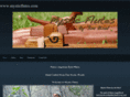 mysticflutes.com