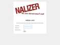 nalizer.com