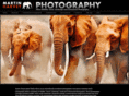 wildimagesonline.com