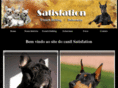 wsvilela.com