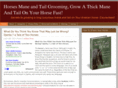 your-arabian-horse.com