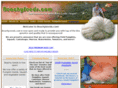 beachyseeds.com