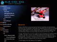 blueeyedsouldance.com