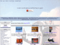 burleysmotorsports.com