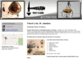 hinshawrockngems.com