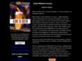 comoelaborarcerveza.com