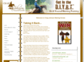 craigjohnsonreining.com