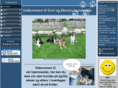 dogbrathcamp.com