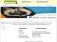 idealsolutionsconsulting.net