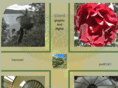 islandgraphic.net
