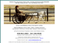 miniature-horses.net