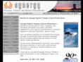 ptsynergy.com
