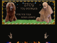 ztoypoodles.com