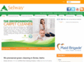 selwayservices.net